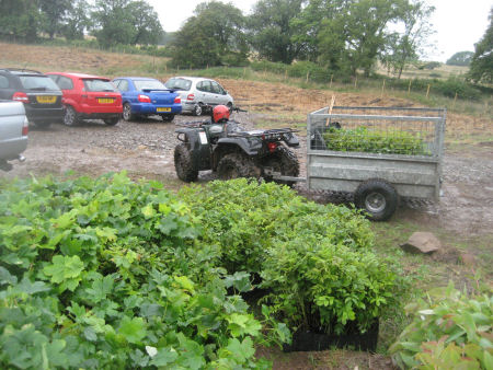 Kirkcudbright planting