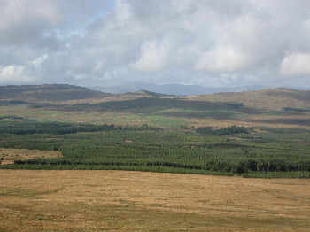 Craigenvey forest
