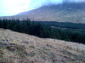 Glenforsa
