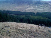 Glenforsa