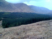 Glenforsa