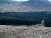 Glenforsa