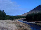 Glenforsa